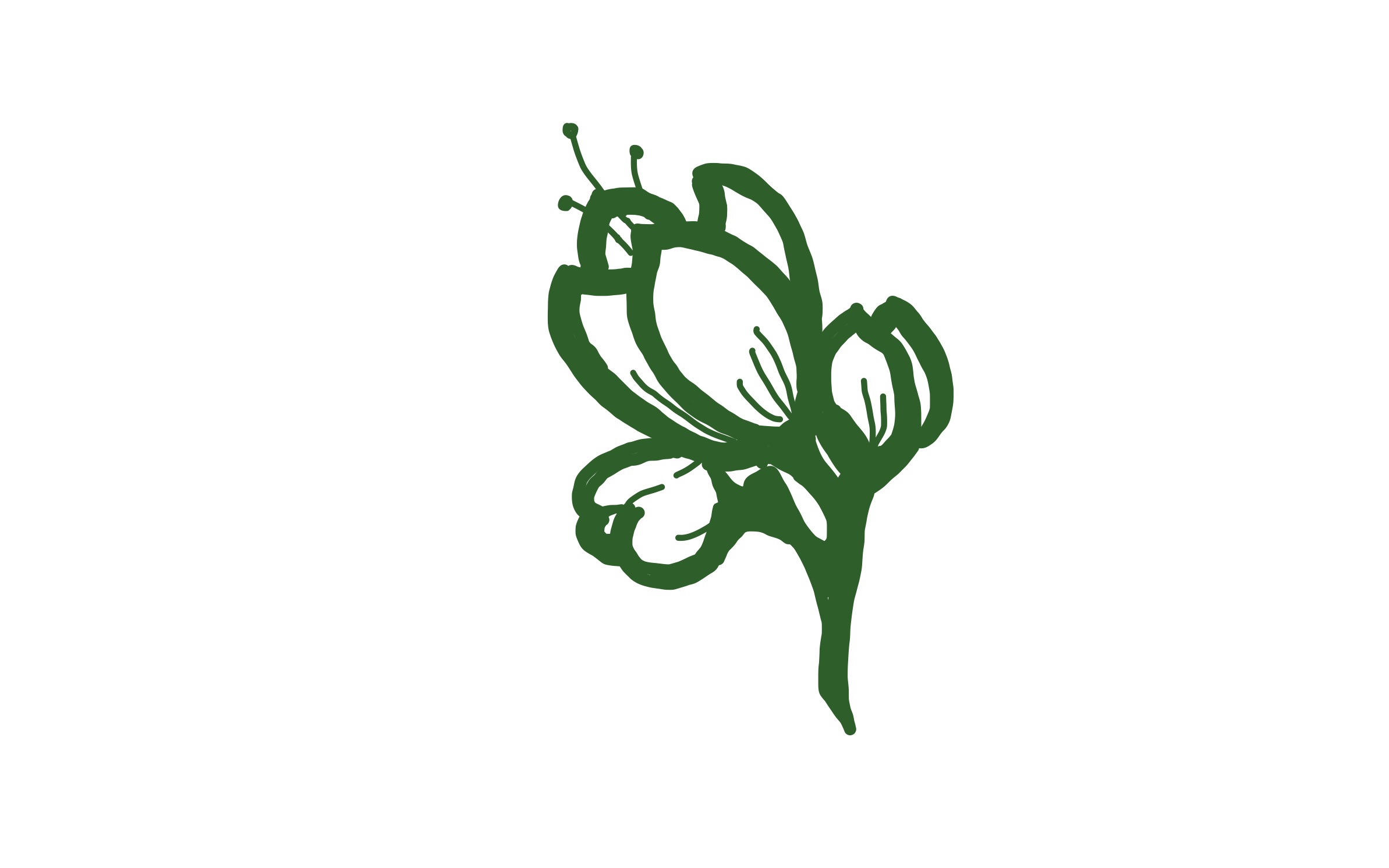 Sich öffnende Blüte an einem Zweig — Symbol für: etwas Neues entsteht.